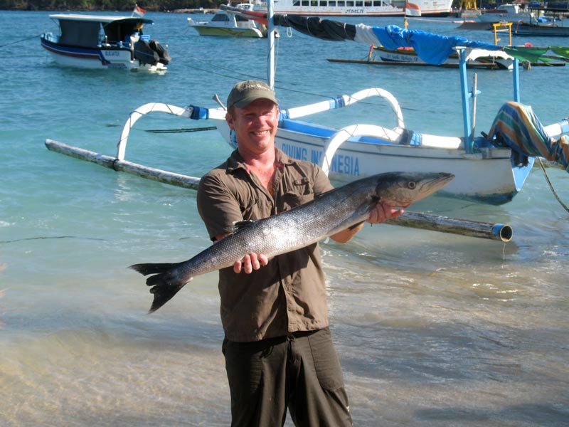 Barracuda Catch
